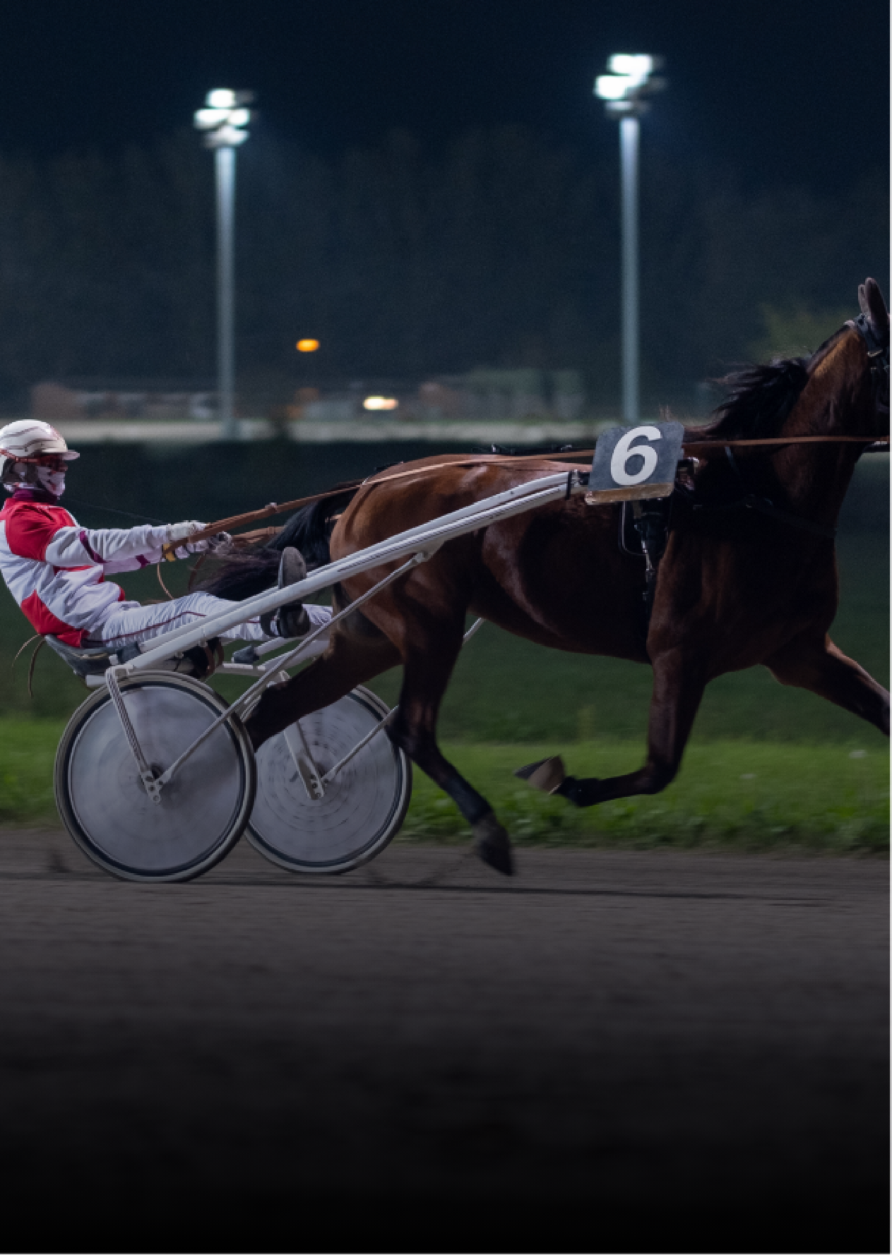 Harness racing Harness racing