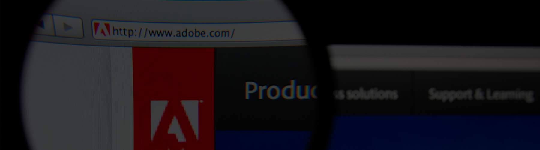 Insights Banner