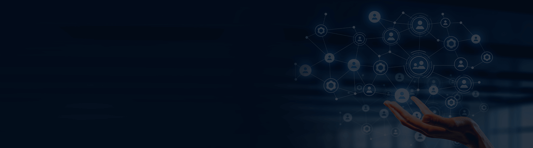 Insights Banner Insights Banner
